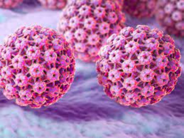 Genital siğilden rahim ağzı kanserine hpv enfeksiyonu
