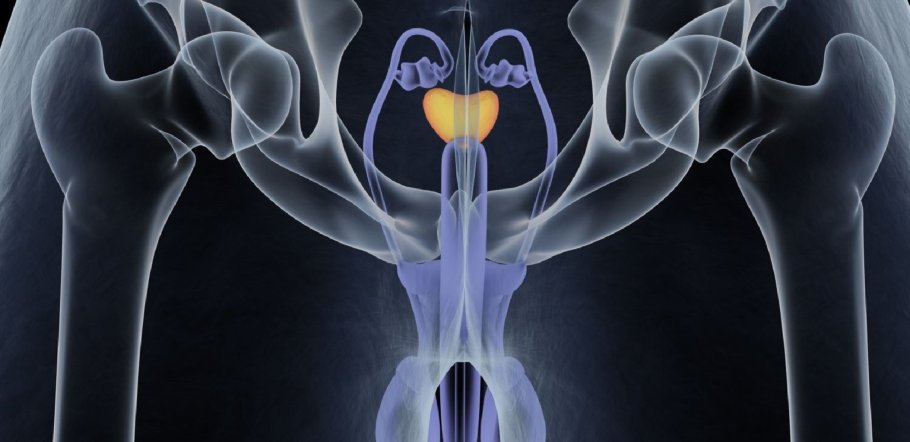Penisin prostatla ne ilgisi var?-2