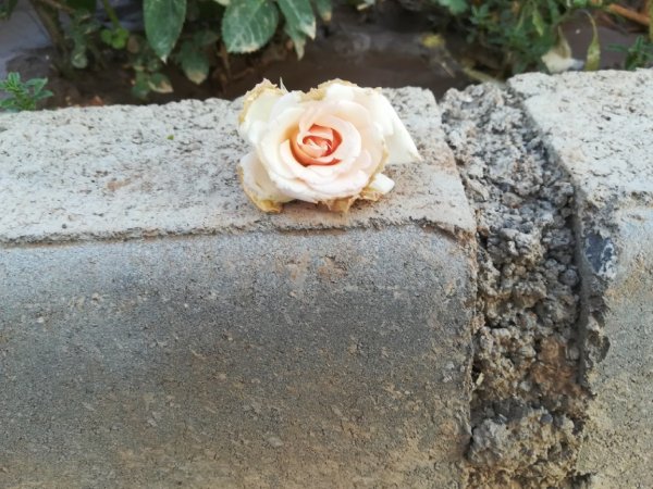Çözümü doğru yerde ara