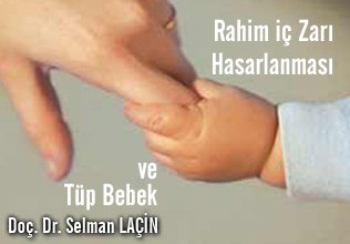 Rahim iç zarı hasarlanması ve tüp bebek