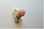 Boksör kırığı