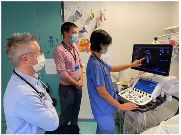 Paediatric and adult congenital cardiology education and training in europe