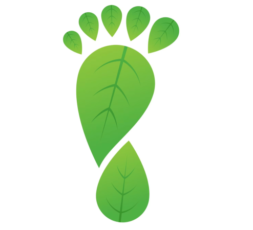 Karbon ayak izinizi azaltmak için 9 beslenme önerisi