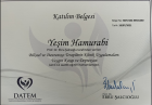 Uzm. Kl. Psk. Yeşim Hamurabi Psikoloji sertifikası