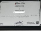 Psk. Dan. Neşegül Yılmaz Psikolojik Danışman sertifikası