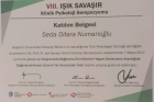 Klinik Psikolog  Dilara Numanoglu Psikoloji sertifikası
