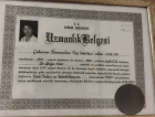 Uzm. Dr. Bilge Talo Fiziksel Tıp ve Rehabilitasyon sertifikası