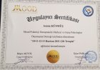 Psk. Asena Küsmüş Psikoloji sertifikası