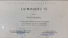Dyt. Aygül Kekeçdil Diyetisyen sertifikası