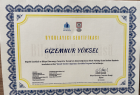 Psk. Dan. Gizemnur Apaydın Psikolojik Danışman sertifikası