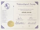 Doç. Dr. Göksel Bayar Üroloji sertifikası