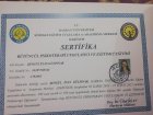 Uzm. Psk. Dan. Şengül İnan Gülpınar Psikoloji sertifikası