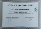 Psk. Beste Nida Perşembeli Psikoloji sertifikası