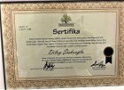 Psk. Dan. Dilay Şişkooğlu Psikolojik Danışman sertifikası