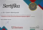 Dt. Gizem Altıntoprak Diş Hekimi sertifikası