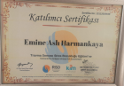 Psk. Aslı Harmankaya Psikoloji sertifikası