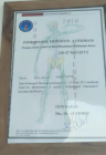 Fzt. Gülsün Avcı Fizyoterapi sertifikası
