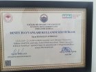 Op. Dr. Ramazan Acıroğlu Genel Cerrahi sertifikası