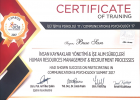 Psk. Buse Sarı Psikoloji sertifikası