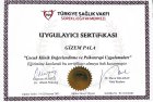 Psk. Gizem Pala Psikoloji sertifikası