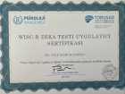 Psk. İlke Korukluoğlu İnal Psikoloji sertifikası