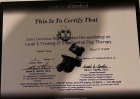 Uzm. Kl. Psk. Zehra Demirhan Psikoloji sertifikası