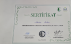 Dil ve Konuşma Terapisti Nezrin Ökten Dil Konuşma Bozuklukları sertifikası