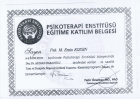 Klinik Psikolog  Mehmet Emin Kızgın Psikoloji sertifikası