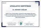 Psk. Dan. Mehmet Sağlam Psikolojik Danışman sertifikası