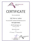 Klinik Psikolog  Merve Elif Şahne Klinik Psikolog sertifikası