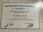 Op. Dr. Bahar Çağlar Kadın Hastalıkları ve Doğum sertifikası