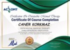 Fzt. Caner Korkmaz Fizyoterapi sertifikası