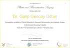 Doç. Dr. Galip Gencay Üstün Plastik Rekonstrüktif ve Estetik Cerrahi sertifikası