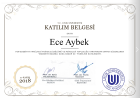 Psk. Ece Aybek Psikoloji sertifikası