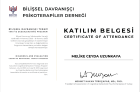 Psk. Dan. Melike Ceyda Uzunkaya Psikolojik Danışman sertifikası