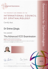 Doç. Dr. Emine Çiloğlu Göz Hastalıkları sertifikası