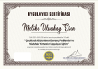 Psk. Melike Uluakay Esen Psikoloji sertifikası