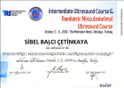 Doç. Dr. Sibel Balcı Çocuk Sağlığı ve Hastalıkları sertifikası