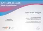 Psk. Gözde Gizem Tandoğan Psikoloji sertifikası
