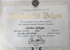 Prof. Dr. Meltem Koloğlu Çocuk Cerrahisi sertifikası