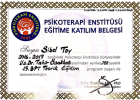 Uzm. Psk. Dan. Sibel Toy Psikolojik Danışman sertifikası