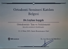 Dt. Ceylan Saygılı Diş Hekimi sertifikası