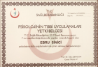Uzm. Psk. Ebru Sinici Psikoloji sertifikası
