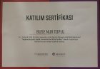 Dt. Buse Nur Toplu Diş Hekimi sertifikası