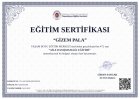 Psk. Gizem Pala Psikoloji sertifikası
