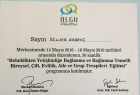 Psk. Dan. Selver EBRİŞİM Psikolojik Danışman sertifikası