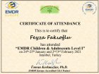 Psk. Feyza Fakıoğlu Psikoloji sertifikası