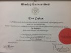 Op. Dr. Esra Arık Kadın Hastalıkları ve Doğum sertifikası