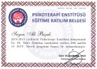 Uzm. Kl. Psk. Ali Bıçak Psikoloji sertifikası