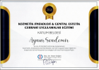 Op. Dr. Aynur Şendemir Kadın Hastalıkları ve Doğum sertifikası